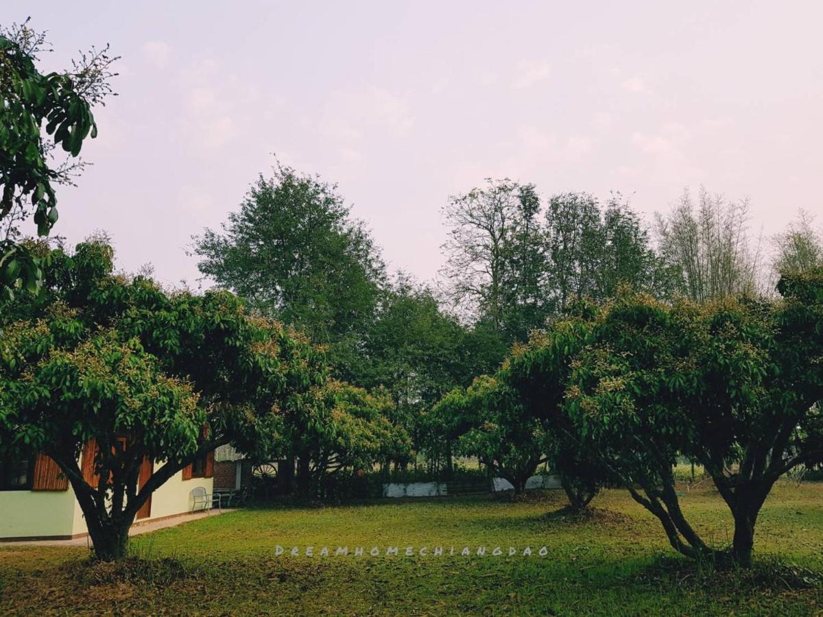 Dreamhome Chiangdao Chiang Dao Dış mekan fotoğraf