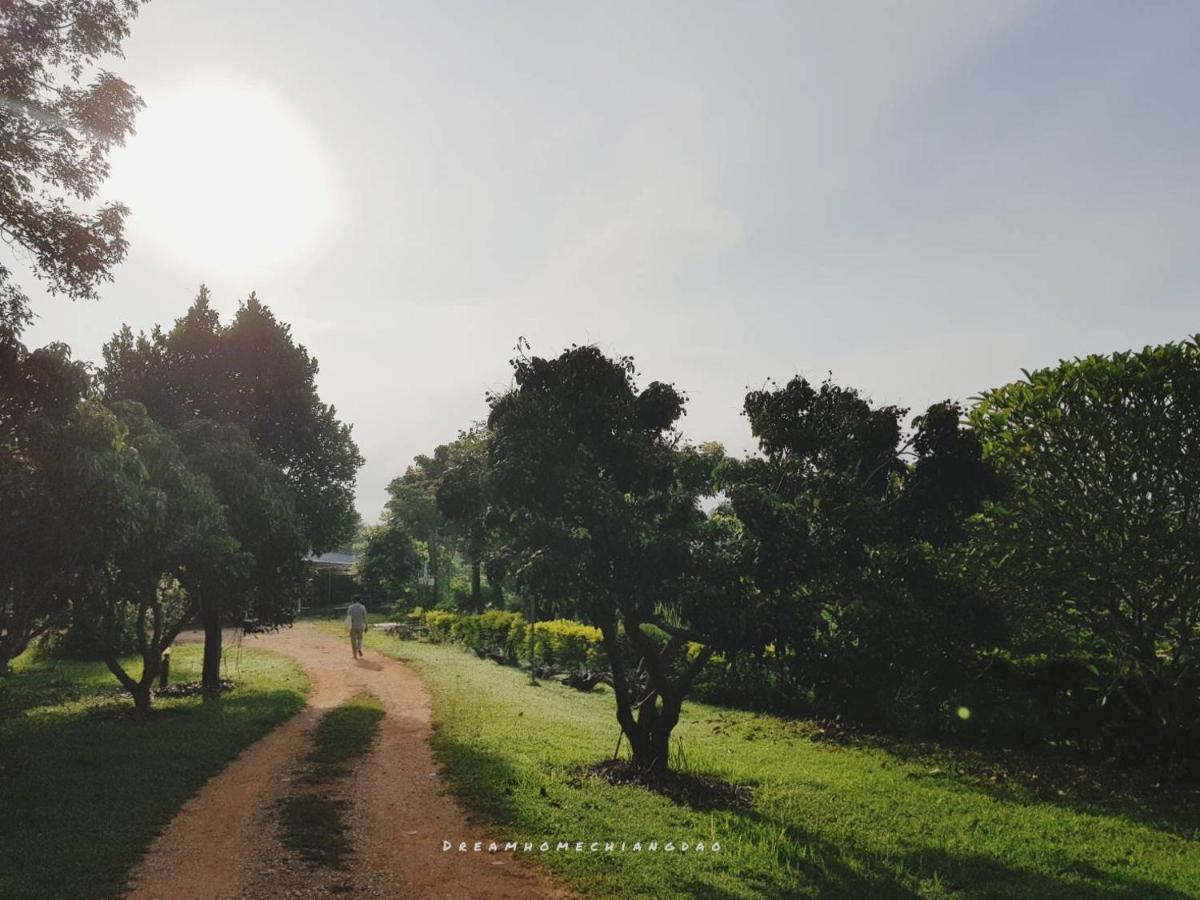 Dreamhome Chiangdao Chiang Dao Dış mekan fotoğraf