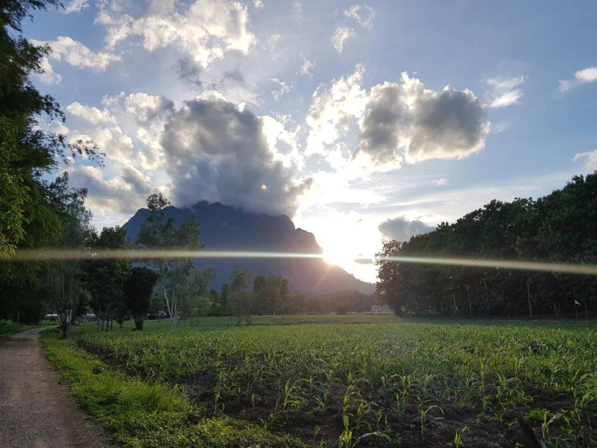 Dreamhome Chiangdao Chiang Dao Dış mekan fotoğraf