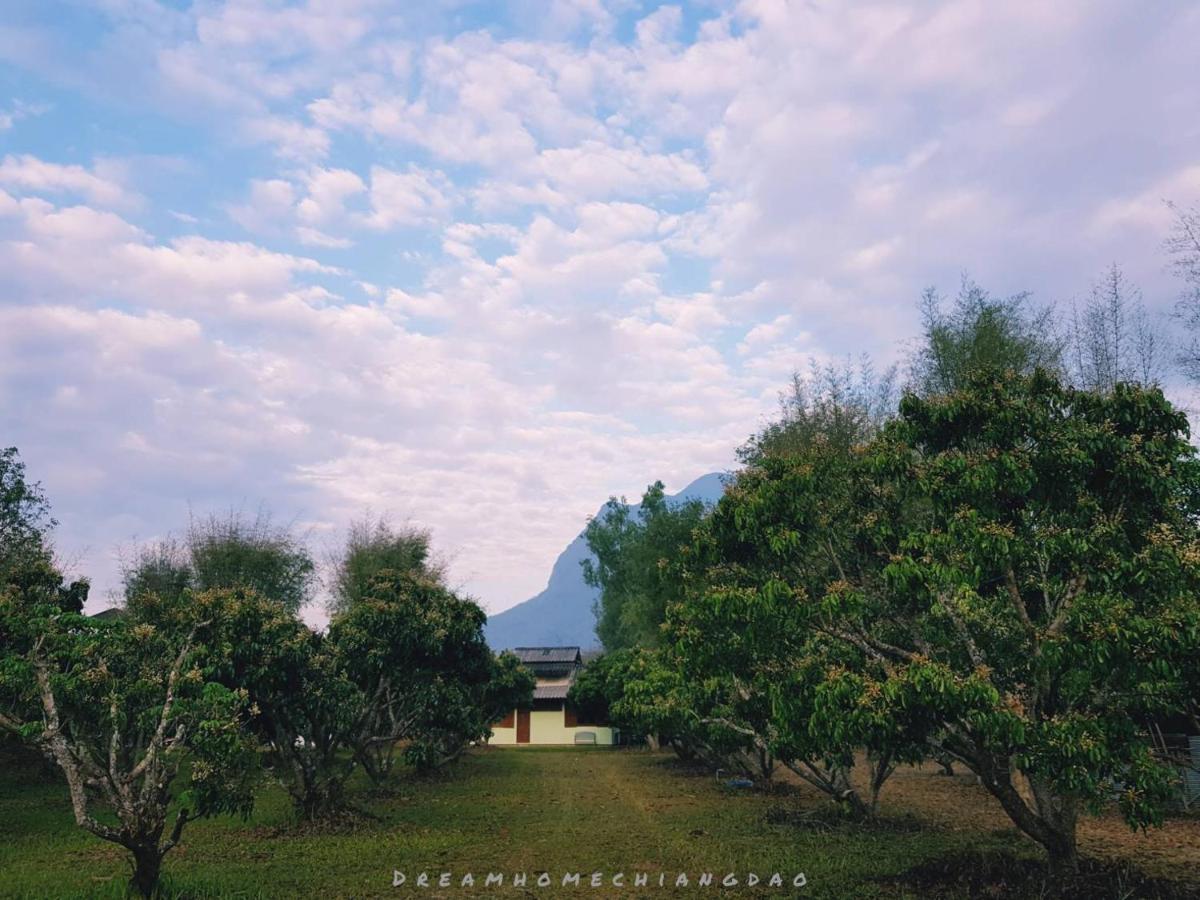 Dreamhome Chiangdao Chiang Dao Dış mekan fotoğraf