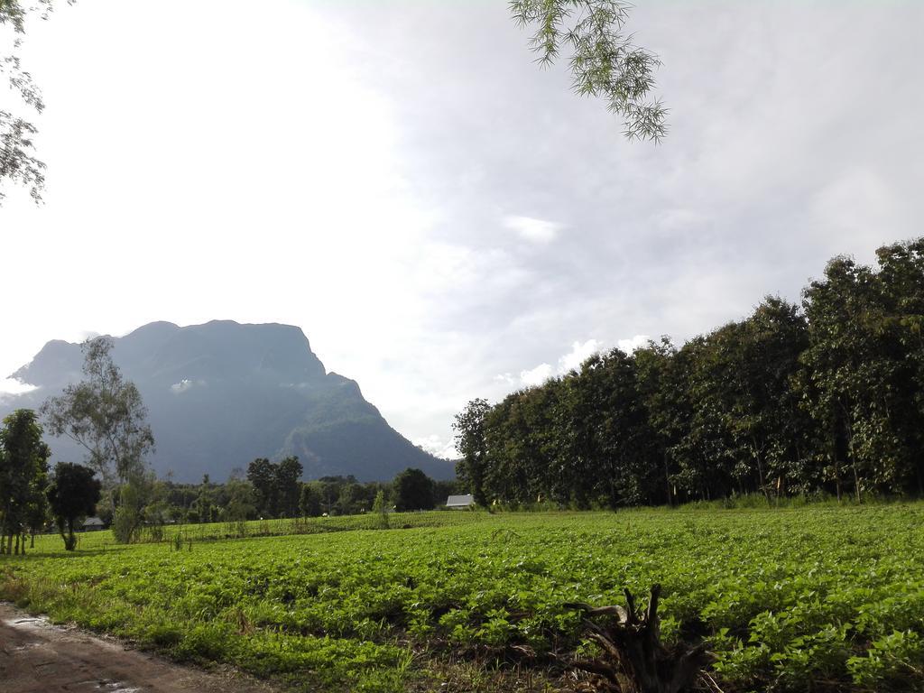 Dreamhome Chiangdao Chiang Dao Dış mekan fotoğraf