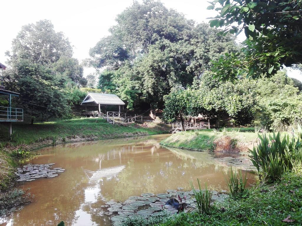 Dreamhome Chiangdao Chiang Dao Dış mekan fotoğraf