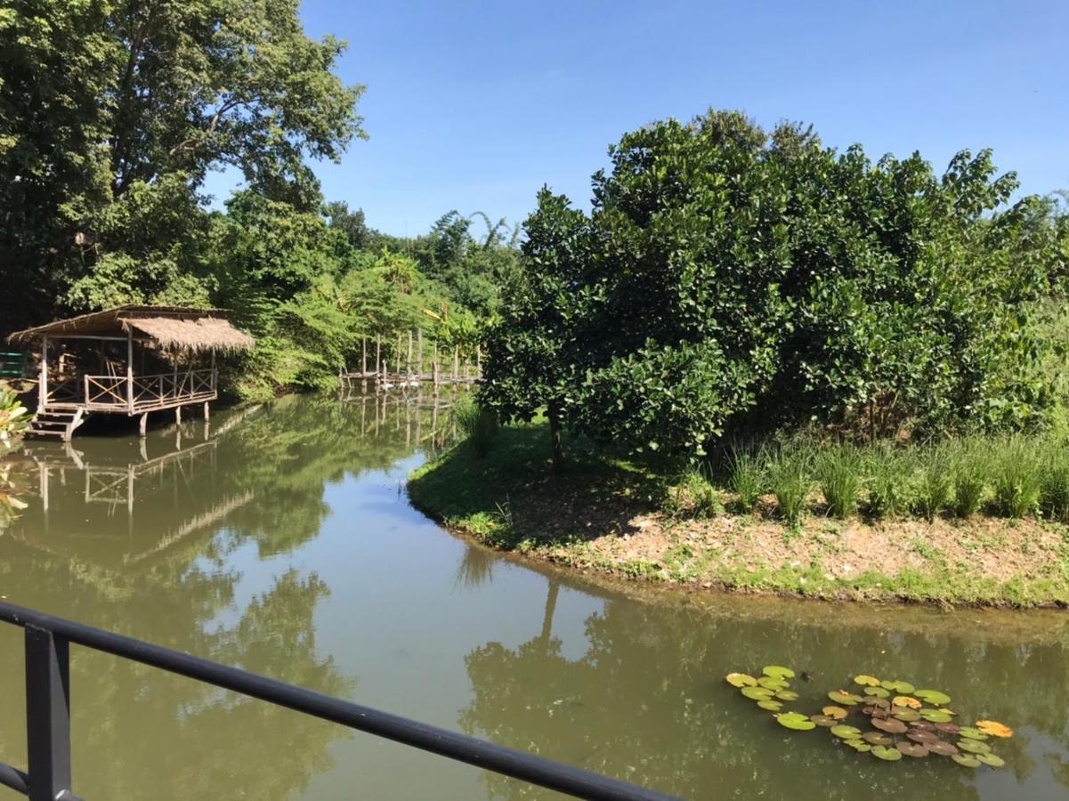 Dreamhome Chiangdao Chiang Dao Dış mekan fotoğraf